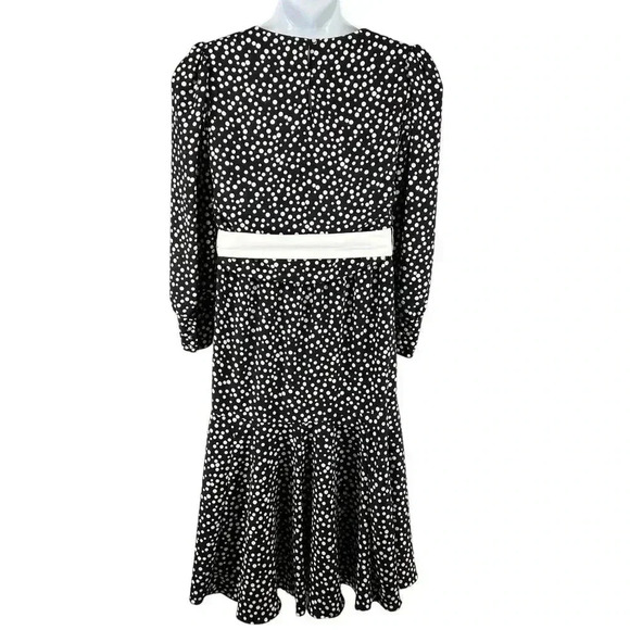 VTG L Rothschild San Francisco Womens L Blouson Dress Ruffle Hem Pearl Buttons - Picture 2 of 15